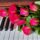 musicsongwriter